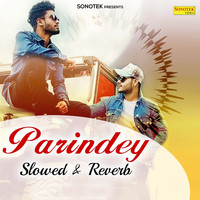 Parindey Song Cover